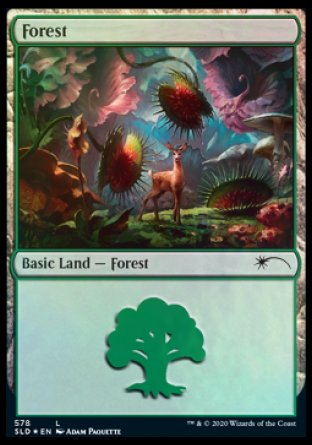 Forest (Predatory) (578) [Secret Lair Drop Promos] | I Want That Stuff Brandon