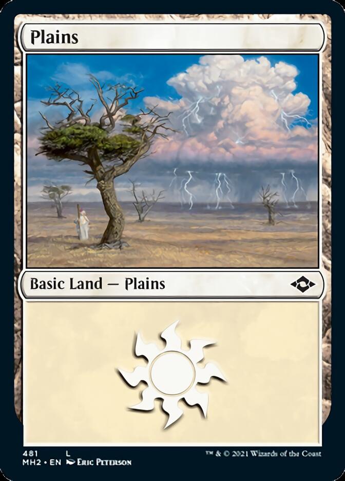 Plains (481) (Foil Etched) [Modern Horizons 2] | I Want That Stuff Brandon