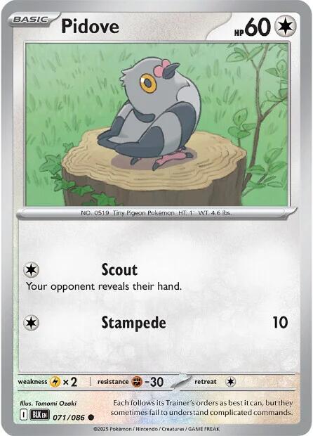 Pidove (071/086) [Scarlet & Violet: Black Bolt] | I Want That Stuff Brandon