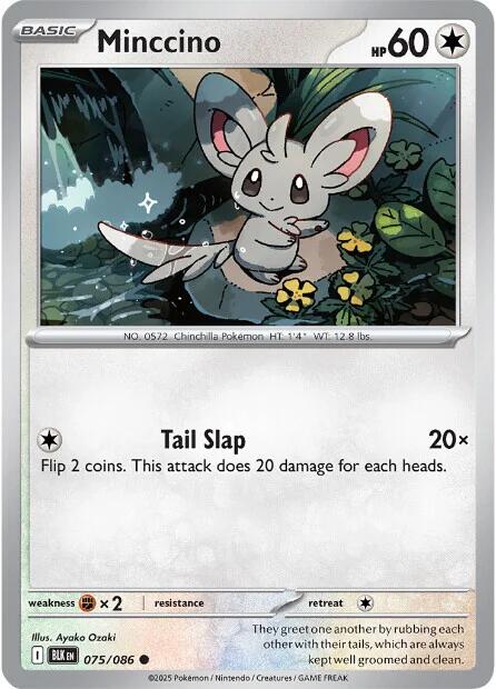 Minccino (075/086) [Scarlet & Violet: Black Bolt] | I Want That Stuff Brandon