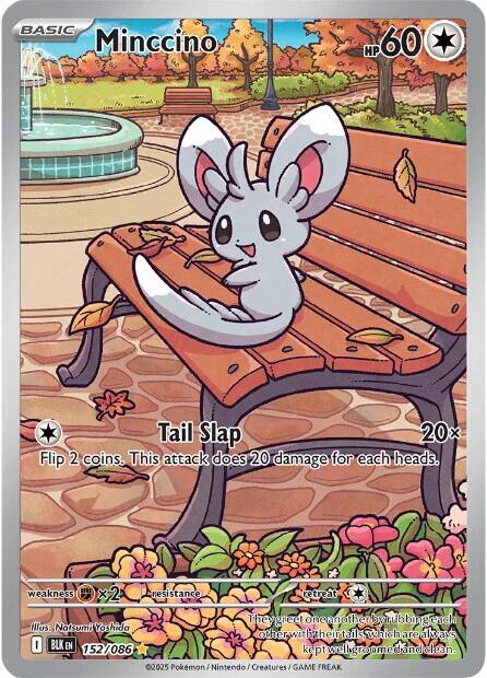 Minccino (152/086) [Scarlet & Violet: Black Bolt] | I Want That Stuff Brandon