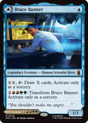 Bruce Banner [Marvel Super Heroes] | I Want That Stuff Brandon