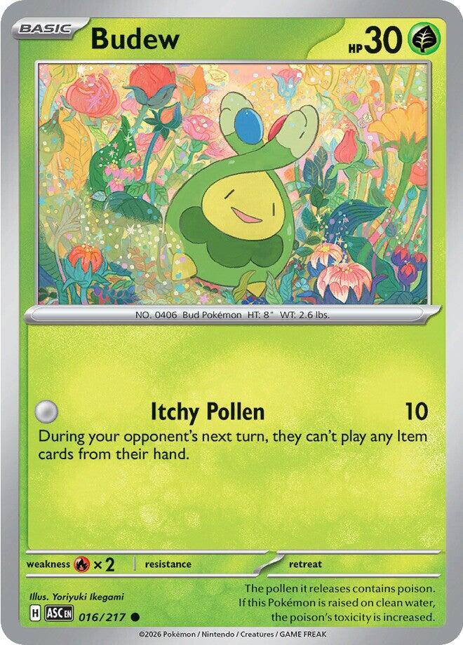 Budew (016/217) [Mega Evolution: Ascended Heroes] | I Want That Stuff Brandon
