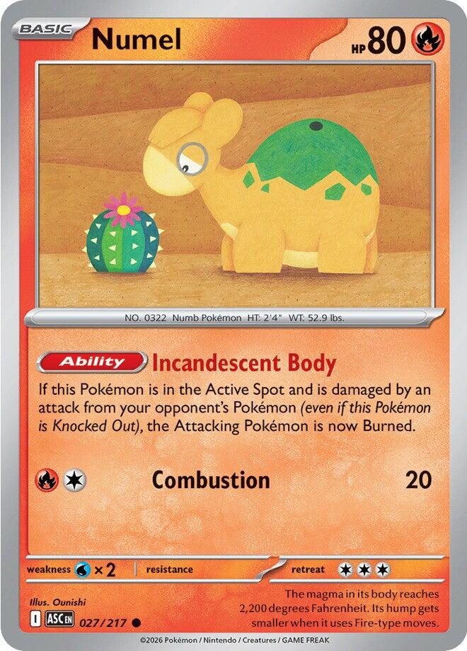 Numel (027/217) [Mega Evolution: Ascended Heroes] | I Want That Stuff Brandon