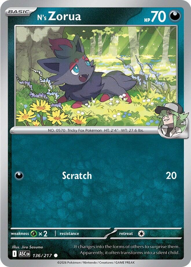 N's Zorua (136/217) [Mega Evolution: Ascended Heroes] | I Want That Stuff Brandon