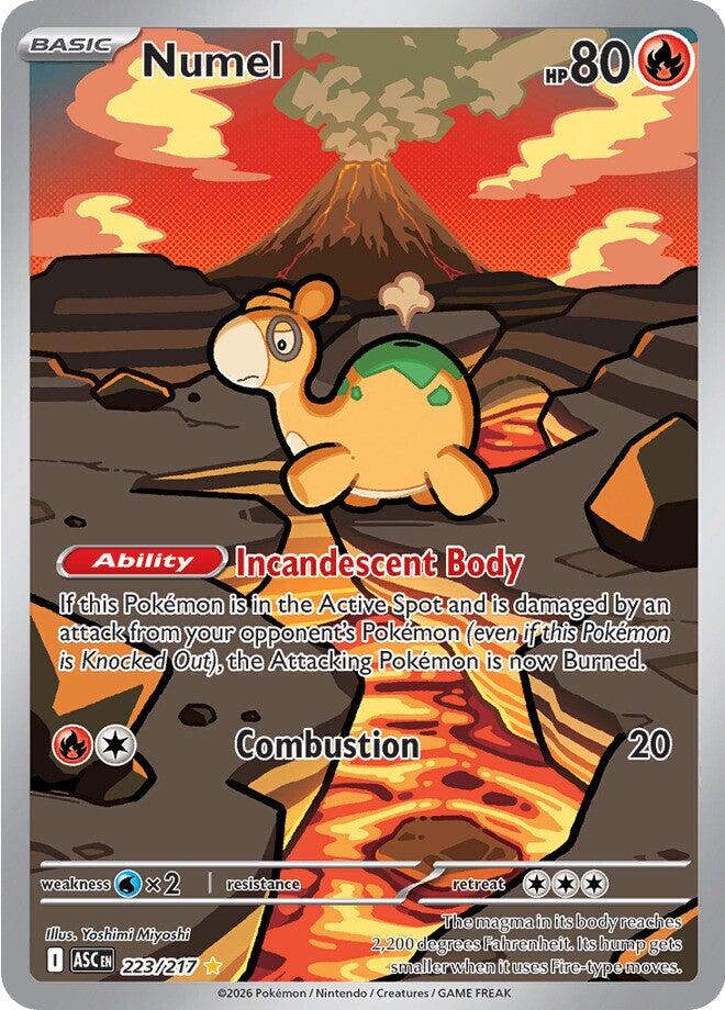 Numel (223/217) [Mega Evolution: Ascended Heroes] | I Want That Stuff Brandon
