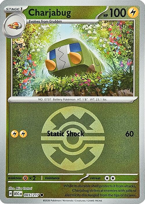 Charjabug (065/217) (Quick Ball) [Mega Evolution: Ascended Heroes] | I Want That Stuff Brandon