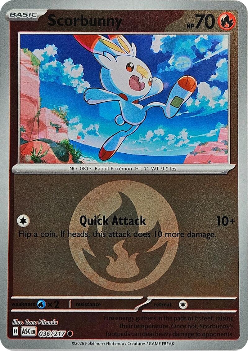 Scorbunny (036/217) (Energy Symbol Pattern) [Mega Evolution: Ascended Heroes] | I Want That Stuff Brandon