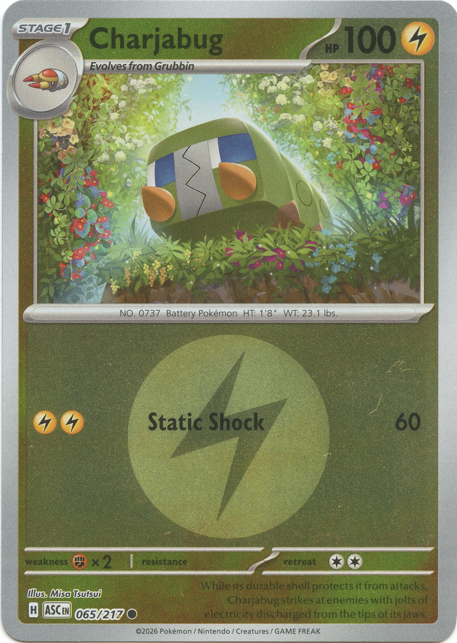 Charjabug (065/217) (Energy Symbol Pattern) [Mega Evolution: Ascended Heroes] | I Want That Stuff Brandon