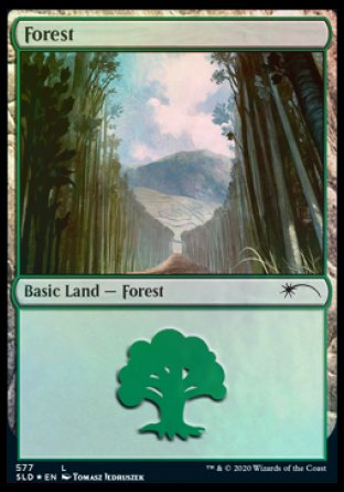 Forest (Walls) (577) [Secret Lair Drop Promos] | I Want That Stuff Brandon