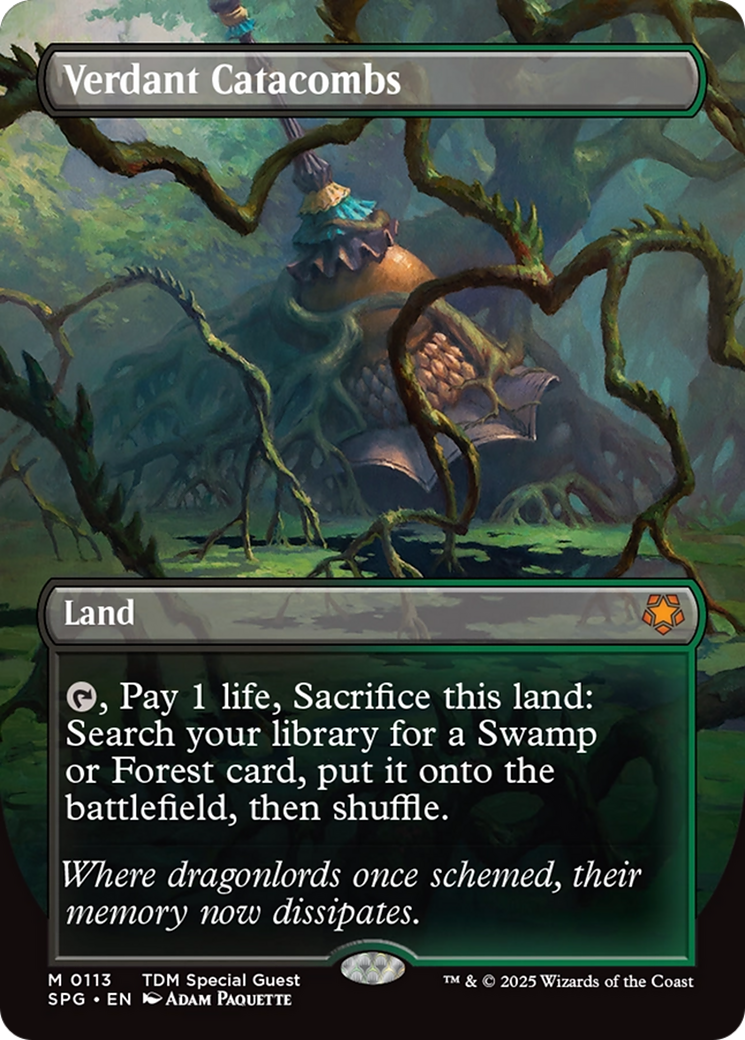 Verdant Catacombs (Borderless) [Tarkir: Dragonstorm Special Guests] | I Want That Stuff Brandon