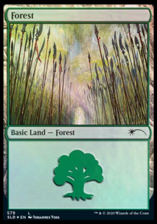 Forest (Elves) (579) [Secret Lair Drop Promos] | I Want That Stuff Brandon