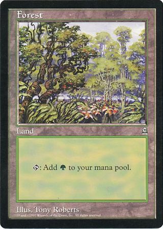 Forest (Oversized) [Oversize Cards] | I Want That Stuff Brandon