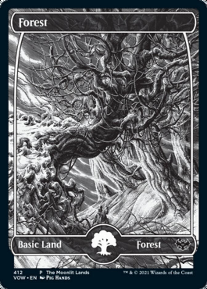 Forest (The Moonlit Lands) (Foil Etched) [Innistrad: Crimson Vow Promos] | I Want That Stuff Brandon