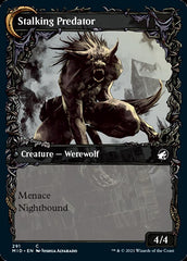 Shady Traveler // Stalking Predator (Showcase Equinox) [Innistrad: Midnight Hunt] | I Want That Stuff Brandon