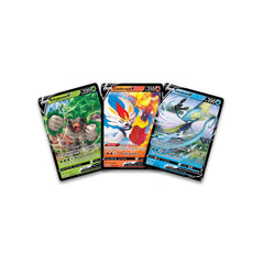 Premium Collection (Galar Sidekicks) | I Want That Stuff Brandon