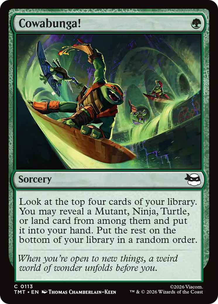 Cowabunga! [Teenage Mutant Ninja Turtles] | I Want That Stuff Brandon