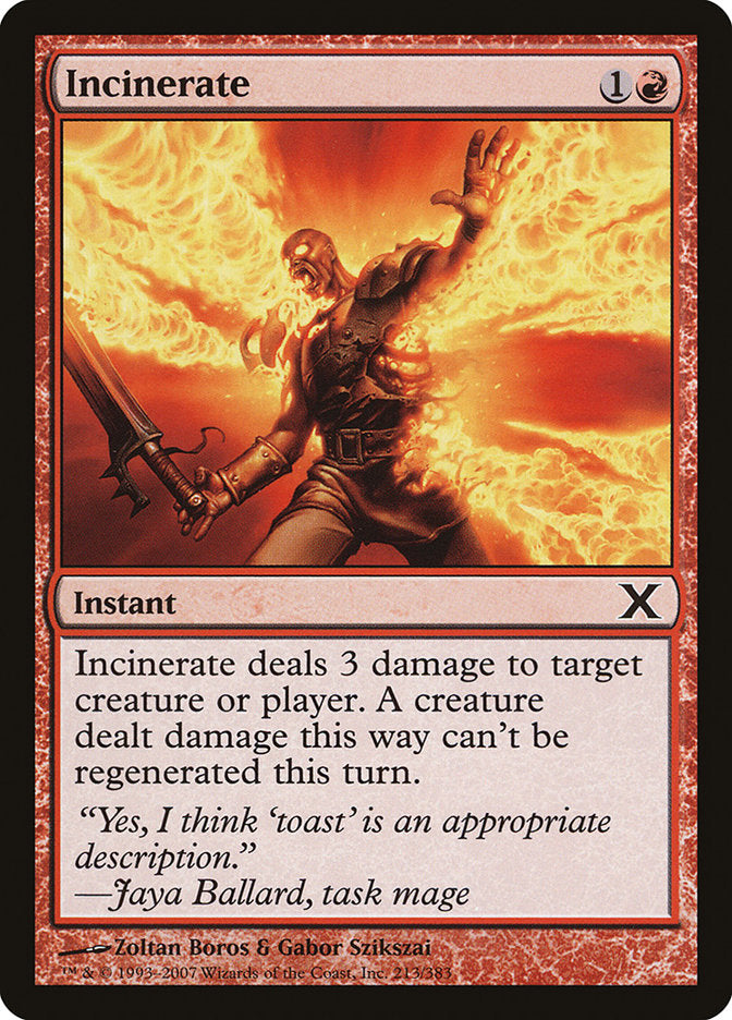 Incinerate [Tenth Edition] | I Want That Stuff Brandon