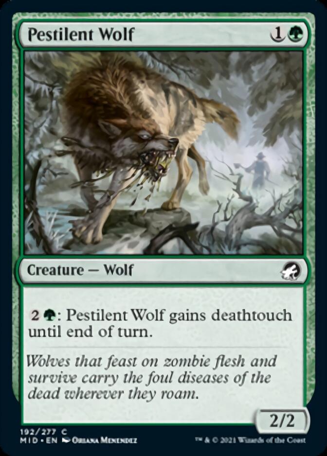 Pestilent Wolf [Innistrad: Midnight Hunt] | I Want That Stuff Brandon