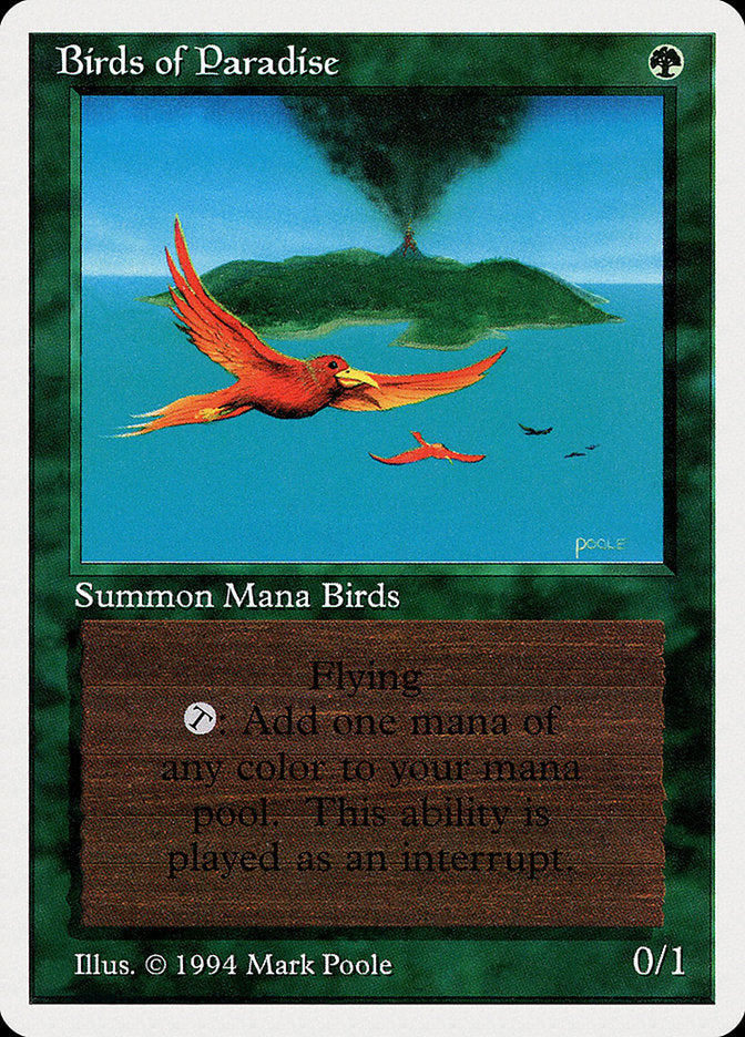 Birds of Paradise [Summer Magic / Edgar] | I Want That Stuff Brandon