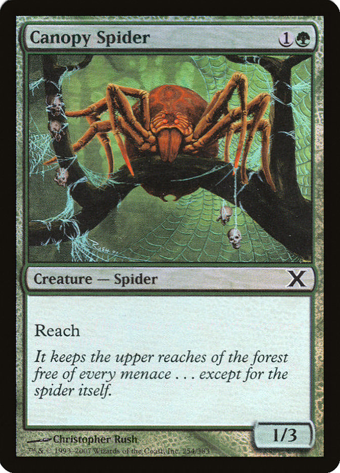 Canopy Spider (Premium Foil) [Tenth Edition] | I Want That Stuff Brandon