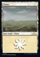 Plains (285) [30th Anniversary Edition] | I Want That Stuff Brandon