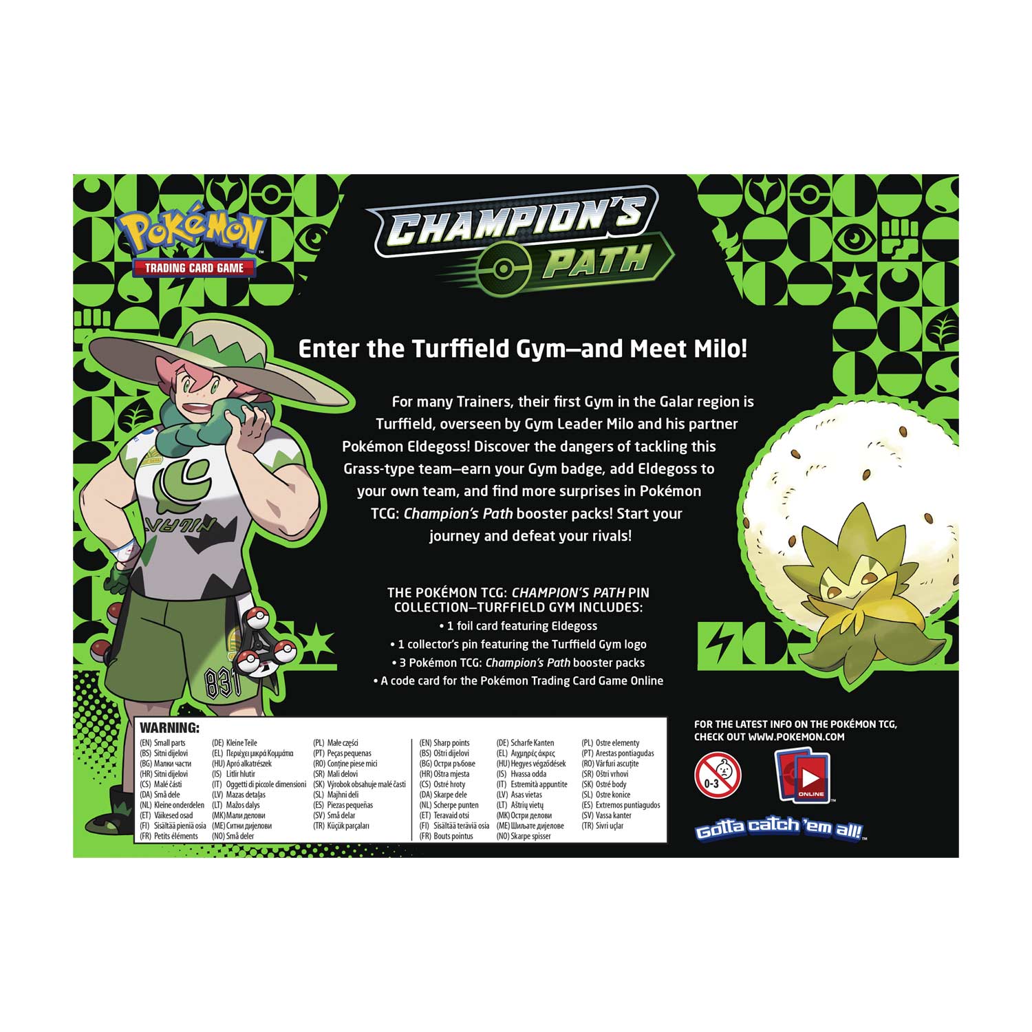 Champion's Path - Pin Collection (Turffield Gym) | I Want That Stuff Brandon