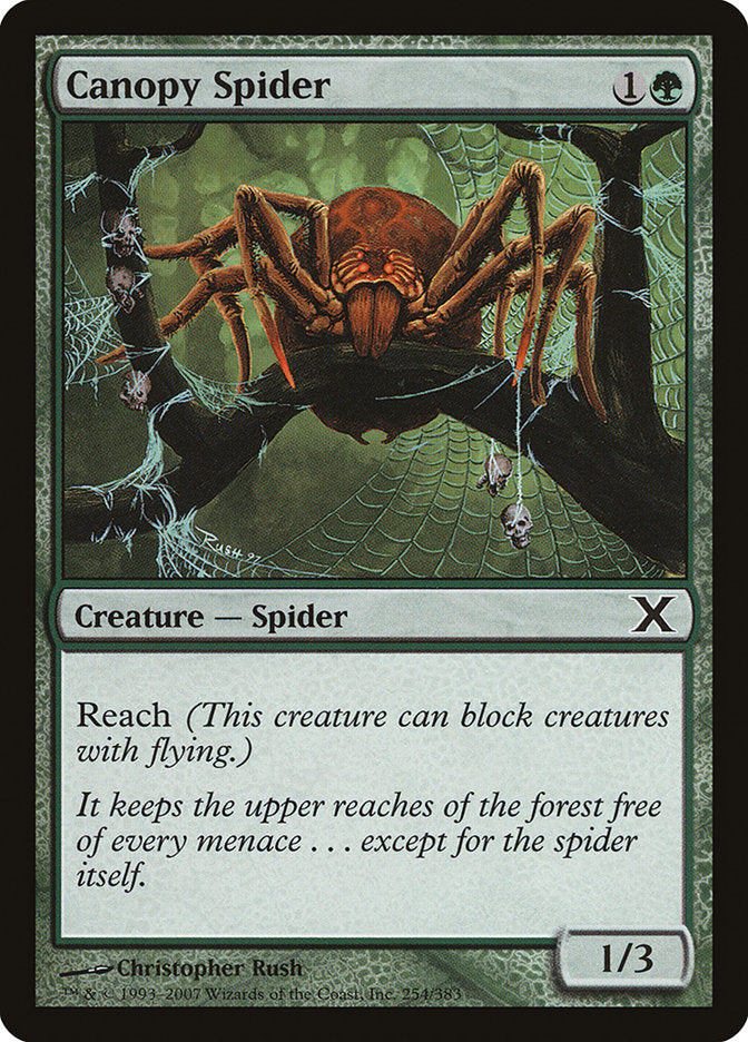 Canopy Spider [Tenth Edition] | I Want That Stuff Brandon
