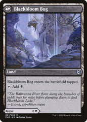 Blackbloom Rogue // Blackbloom Bog [Zendikar Rising] | I Want That Stuff Brandon