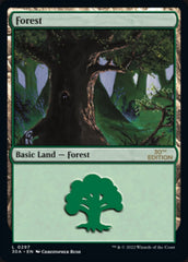 Forest (297) [30th Anniversary Edition] | I Want That Stuff Brandon