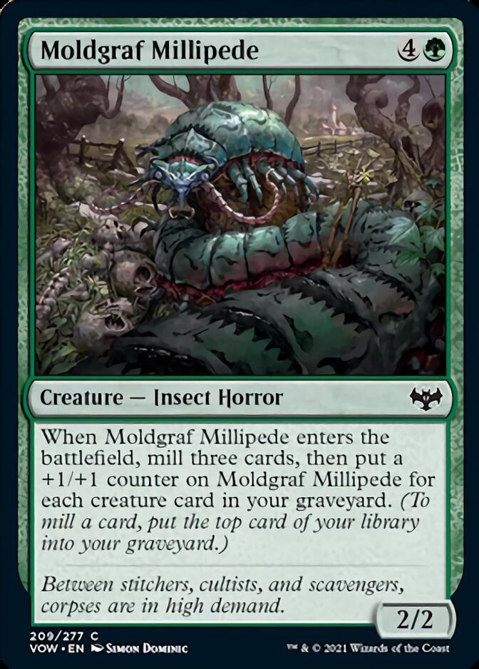 Moldgraf Millipede [Innistrad: Crimson Vow] | I Want That Stuff Brandon