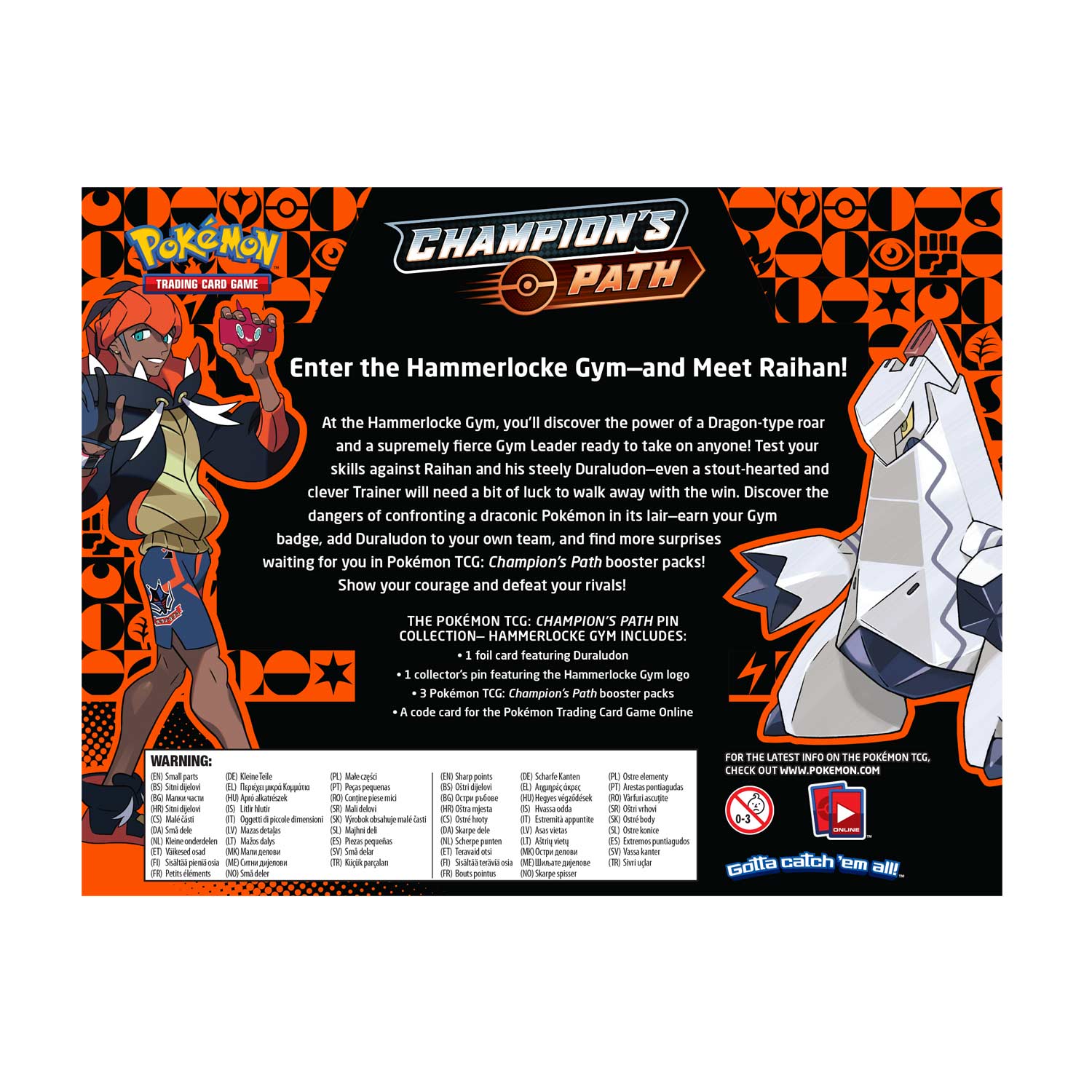Champion's Path - Pin Collection (Hammerlocke Gym) | I Want That Stuff Brandon