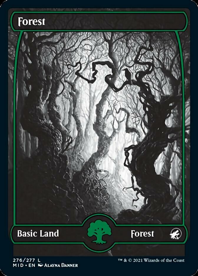 Forest (276) [Innistrad: Midnight Hunt] | I Want That Stuff Brandon