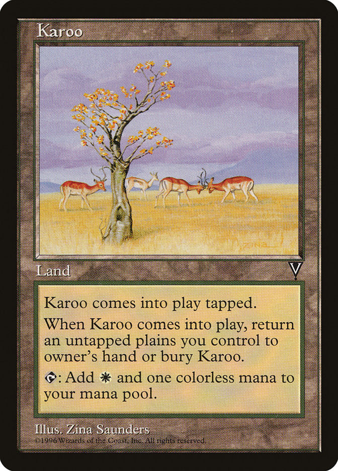 Karoo [Visions] | I Want That Stuff Brandon