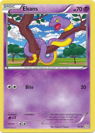 Ekans (16/30) [XY: Trainer Kit - Noivern] | I Want That Stuff Brandon