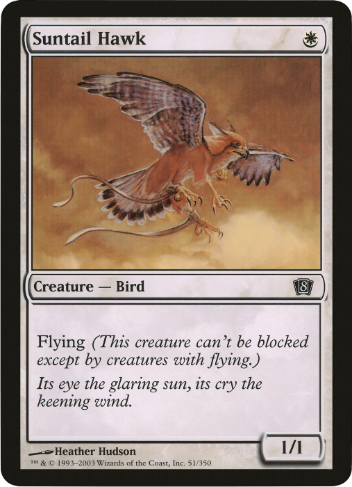Suntail Hawk (Oversized) [Eighth Edition Box Topper] | I Want That Stuff Brandon