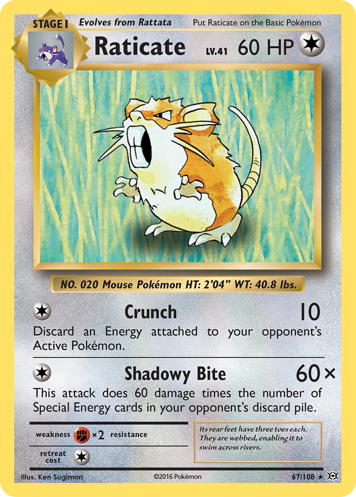 Raticate (67/108) [XY: Evolutions] | I Want That Stuff Brandon