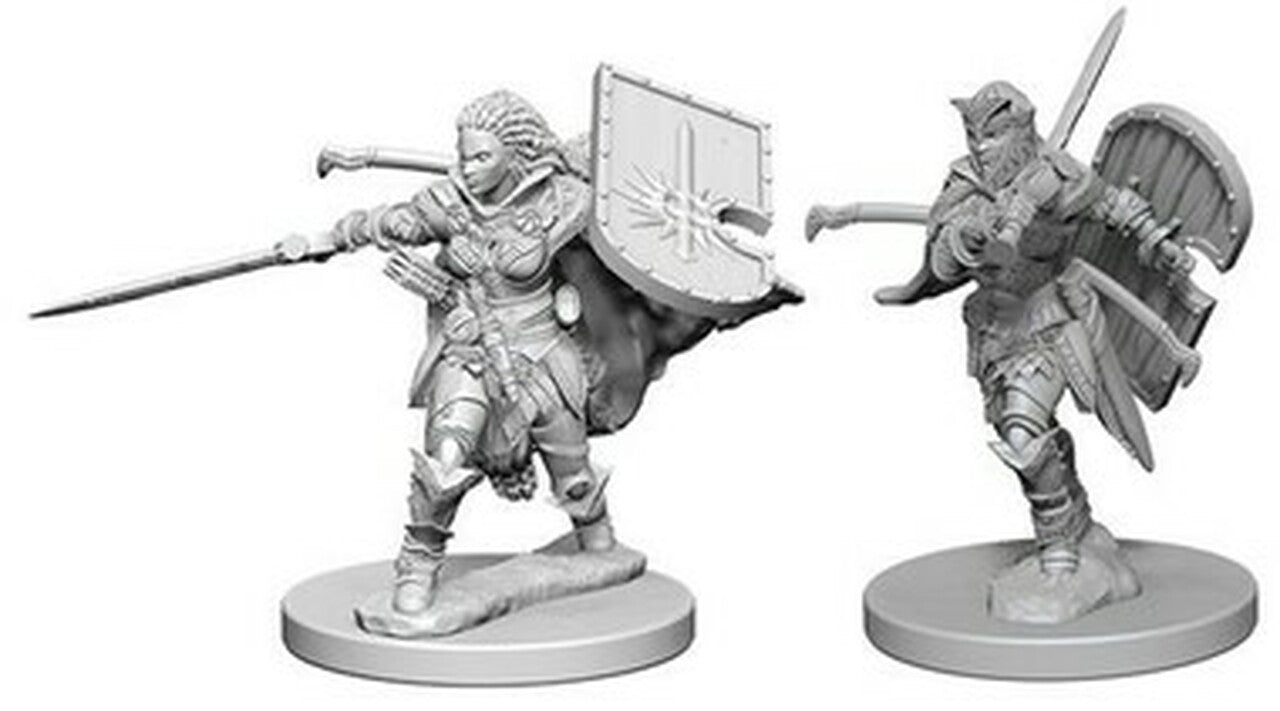 Pathfinder Battles Deep Cuts Unpainted Miniatures: Human Female Paladin | I Want That Stuff Brandon