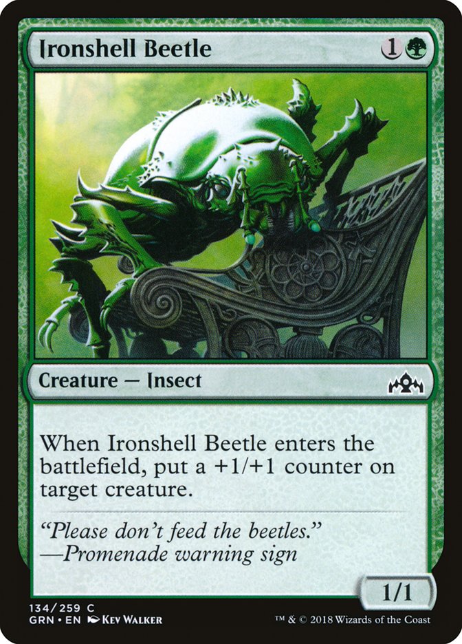 Ironshell Beetle [Guilds of Ravnica] | I Want That Stuff Brandon