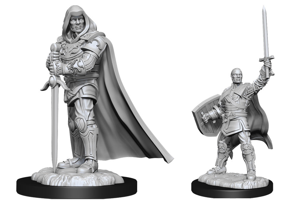 Pathfinder Deep Cuts Unpainted Miniatures: Human Male Paladin | I Want That Stuff Brandon