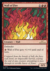 Wall of Fire [30th Anniversary Edition] | I Want That Stuff Brandon