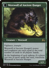 Sage of Ancient Lore // Werewolf of Ancient Hunger [Shadows over Innistrad] | I Want That Stuff Brandon
