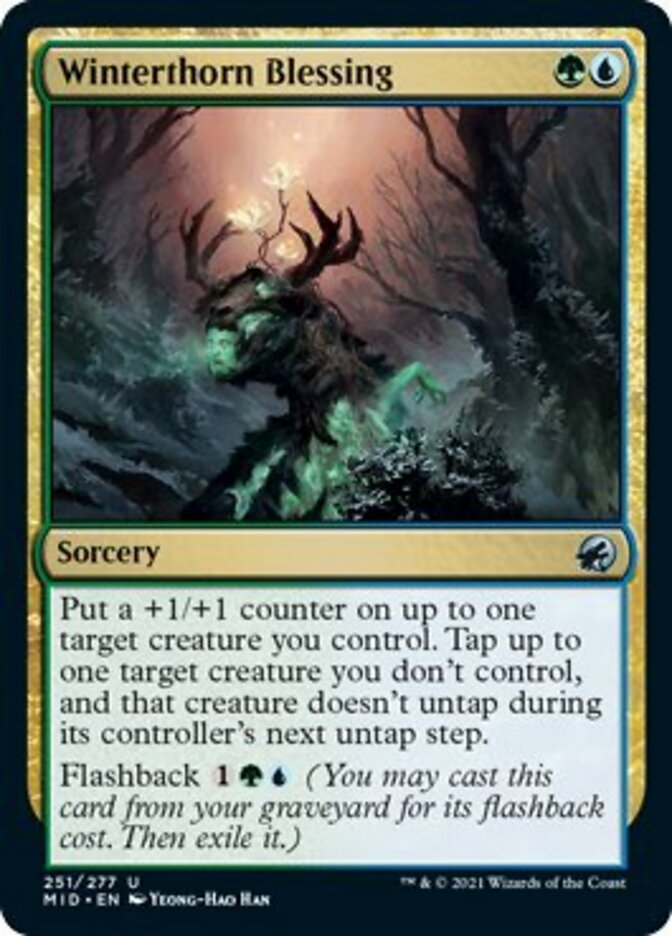 Winterthorn Blessing [Innistrad: Midnight Hunt] | I Want That Stuff Brandon