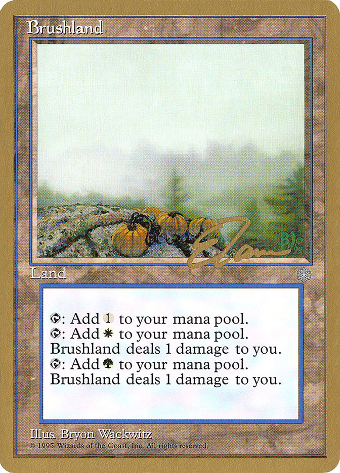 Brushland (Eric Tam) [Pro Tour Collector Set] | I Want That Stuff Brandon