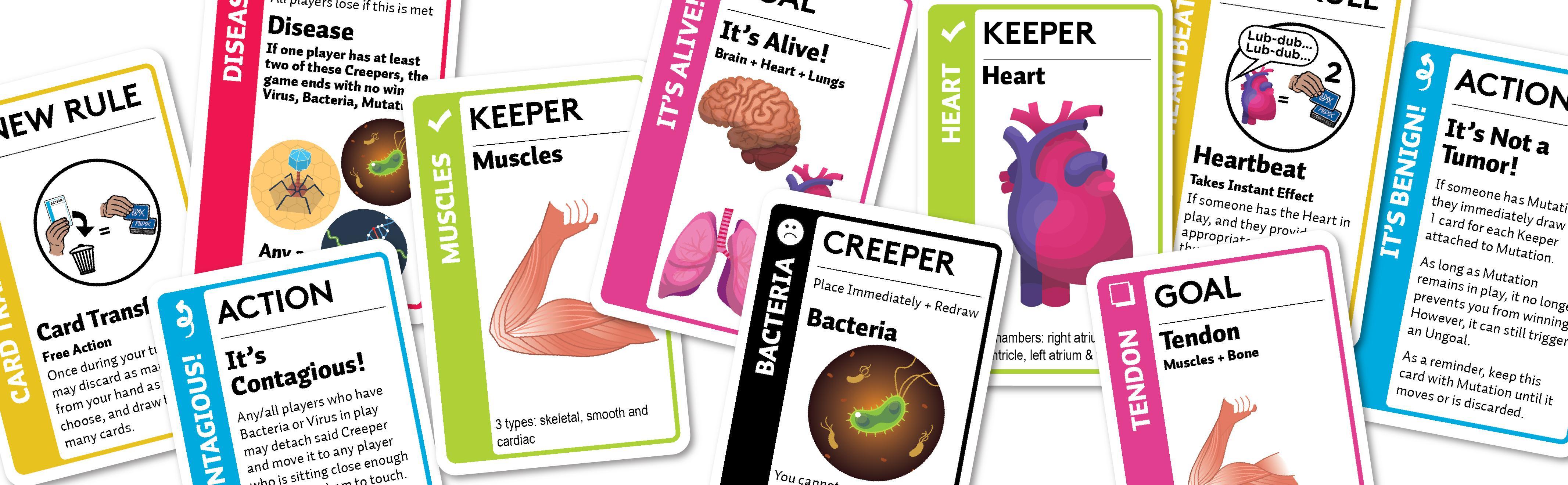 Anatomy Fluxx | I Want That Stuff Brandon