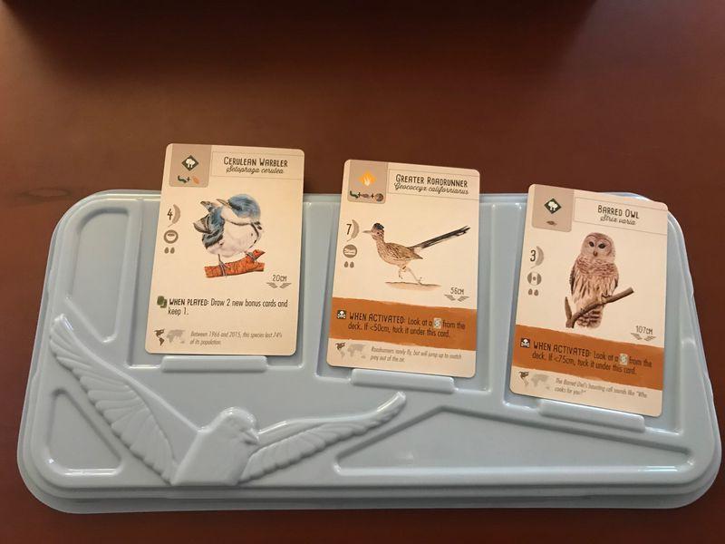 Wingspan with QuickStart | I Want That Stuff Brandon
