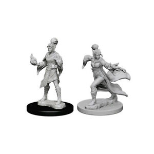 Pathfinder Battles Deep Cuts Unpainted Miniatures: Female Elf Sorcerer | I Want That Stuff Brandon
