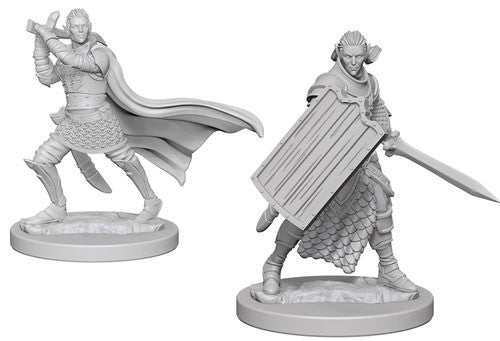 Pathfinder Battles Deep Cuts Unpainted Miniatures: Male Elf Paladin | I Want That Stuff Brandon