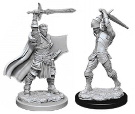 D&D Nolzur's Marvelous Primed Human Paladin Miniature | I Want That Stuff Brandon